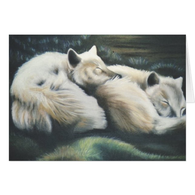 "Arctic Foxes" (Front Horizontal)