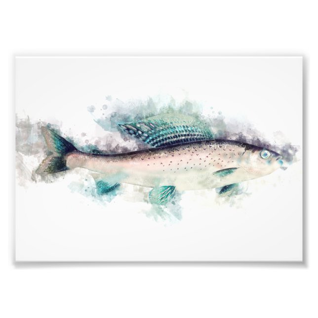 Arctic grayling Aquarelle Art Fishing Enthusiasts Photo Print (Front)
