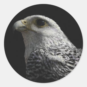 Arctic Gyrfalcon Portrait Painting Classic Round Sticker