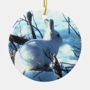 Arctic Hare in Snow Ceramic Tree Decoration
