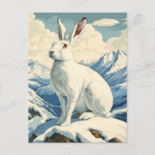 Arctic hare vintage postcard (Front)