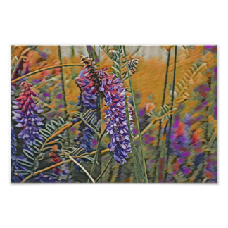 Arctic lupine warm colours photo print