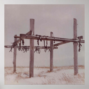 Arctic Meat Drying Rack, Old Pt. Lay Village Photo Poster