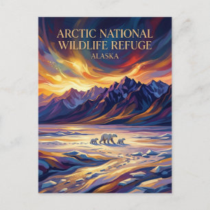 Arctic National Wildlife Refuge USA Postcard