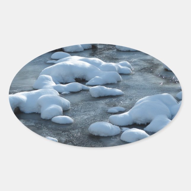 Arctic Scene Oval Sticker (Front)