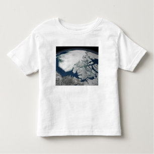 Arctic sea ice above North America Toddler T-Shirt