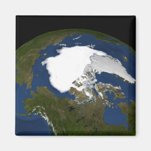 Arctic sea ice in 2005 magnet