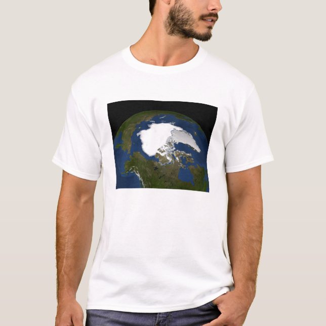 Arctic sea ice in 2005 T-Shirt (Front)