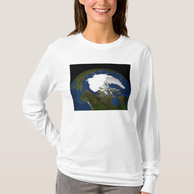 Arctic sea ice in 2005 T-Shirt (Front)