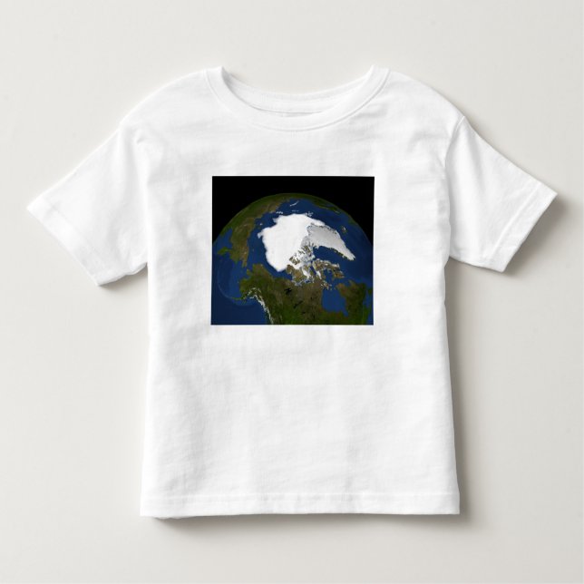 Arctic sea ice in 2005 toddler T-Shirt (Front)