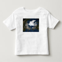 Arctic sea ice