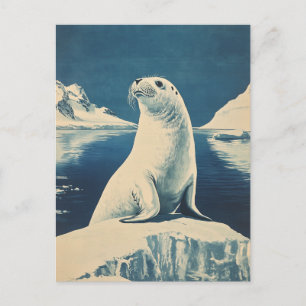 Arctic Seal vintage Postcard