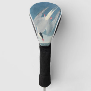 Arctic Tern Audubon Bird Wildlife Artwork Golf Head Cover