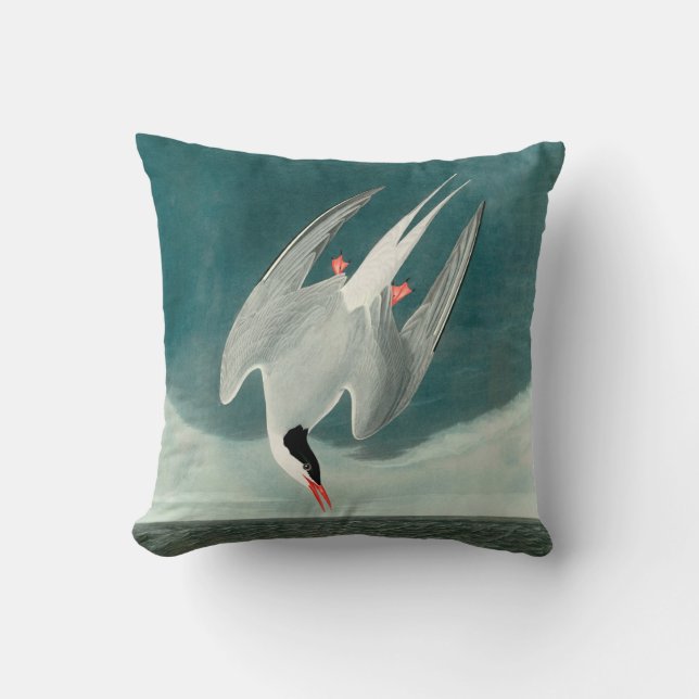 Arctic Tern Audubon Bird Wildlife Painting Cushion (Front)