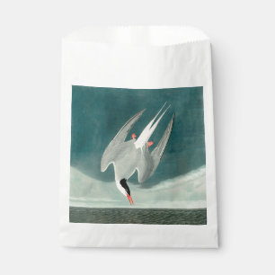 Arctic Tern Audubon Bird Wildlife Painting Favour Bags