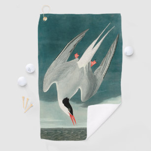 Arctic Tern Audubon Bird Wildlife Painting Golf Towel