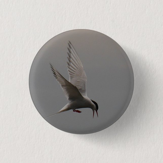 Arctic Tern Badge (Front)