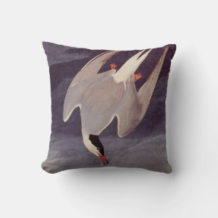 Arctic Tern by John James Audubon, Vintage Birds Cushion