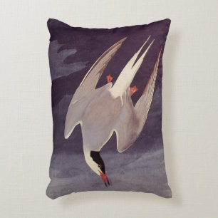 Arctic Tern by John James Audubon, Vintage Birds Decorative Cushion