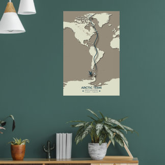 Arctic Tern Migration Map – Minimalist Vintage  Poster