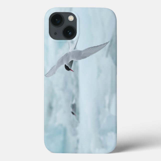 Arctic Terns iPad Air Case by RoseWrites (Back)