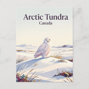 Arctic Tundra Canada Postcard