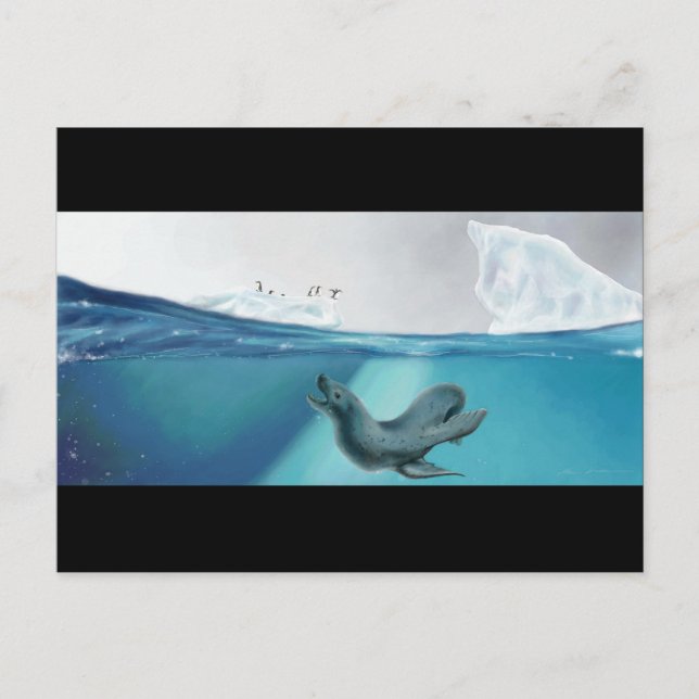 Arctic Viewpoint Postcard (Front)