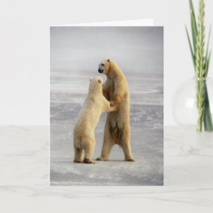 Arctic Waltz Card