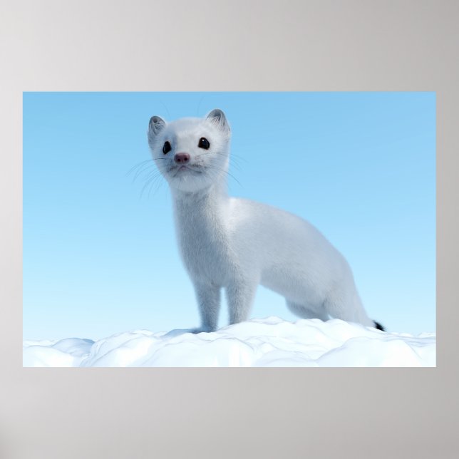 Arctic Weasel Charm Poster (Front)