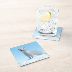 Arctic Weasel Charm Square Paper Coaster