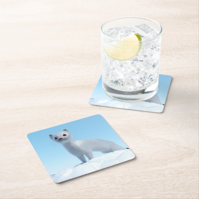 Arctic Weasel Charm Square Paper Coaster (Insitu)