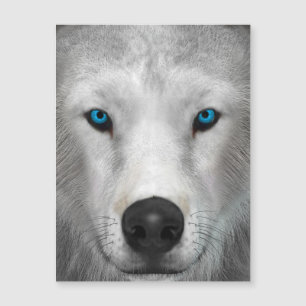 Arctic Wolf