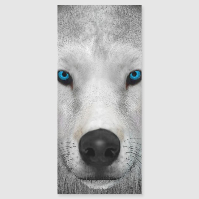 Arctic Wolf (Front)