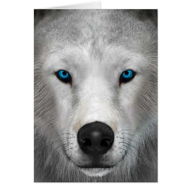 Arctic Wolf (Front)
