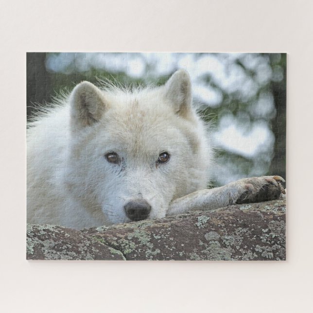 ARCTIC WOLF 16x20 INCH Jigsaw Puzzle (Horizontal)