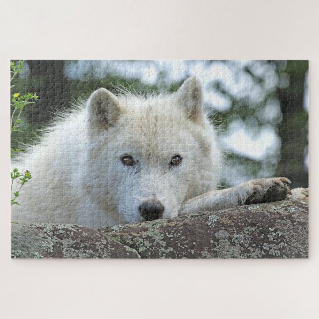 ARCTIC WOLF 20x30 INCH Jigsaw Puzzle (Horizontal)