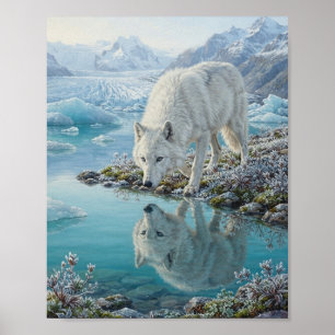 Arctic Wolf Glacial Lagoon Glacier Water Reflectio Poster