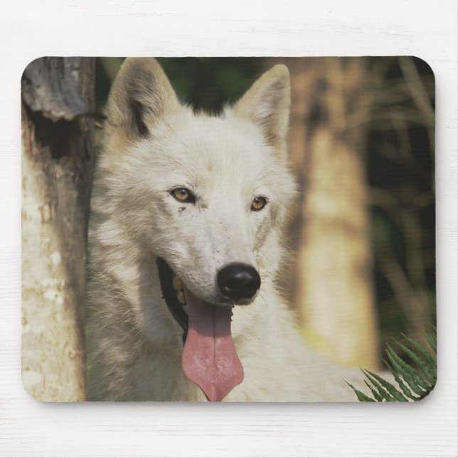 Arctic wolf in forest mouse pad (Front)
