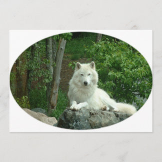Arctic Wolf Invitation