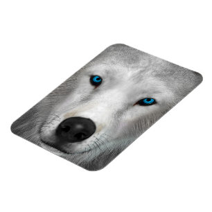 Arctic Wolf Magnet