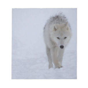 Arctic wolf notepad