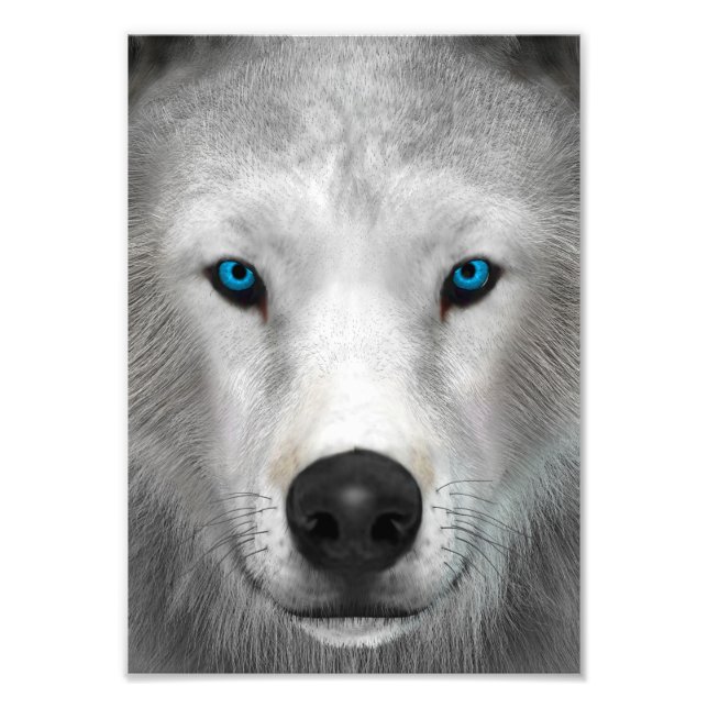 Arctic Wolf Photo Print (Front)