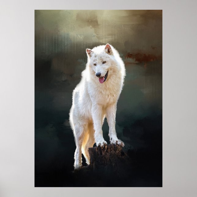 Arctic wolf poster (Front)