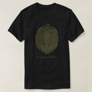 Arctinrus Boltoni Fossil Trilobite T-Shirt
