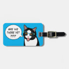 ARE WE THERE YET? Sassy Tuxedo Cat BlissAndKittens