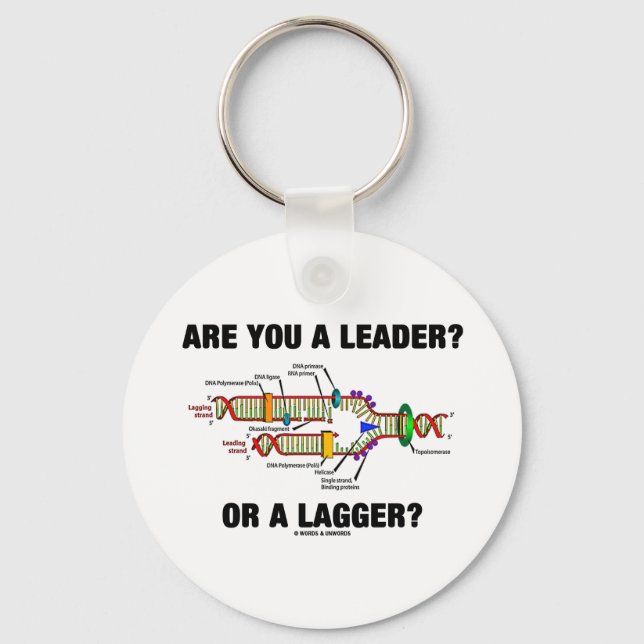 Are You A Leader? Or A Lagger? (DNA Replication) Key Ring (Front)