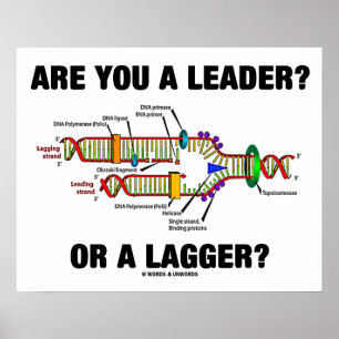 Are You A Leader? Or A Lagger? Geek DNA Humour Poster