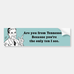 ARE YOU FROM TENNESSEE - BECAUSE YOU ARE THE ONY T BUMPER STICKER