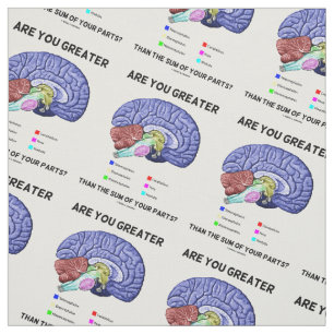 Are You Greater Than The Sum Of Your Parts? Brain Fabric
