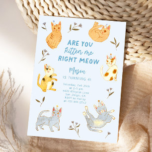 Are You Kitten Me Cat Boy Birthday  Invitation
